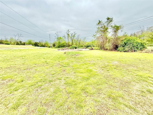 view of yard