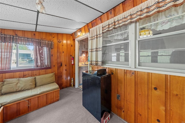 carpeted living area featuring wood walls