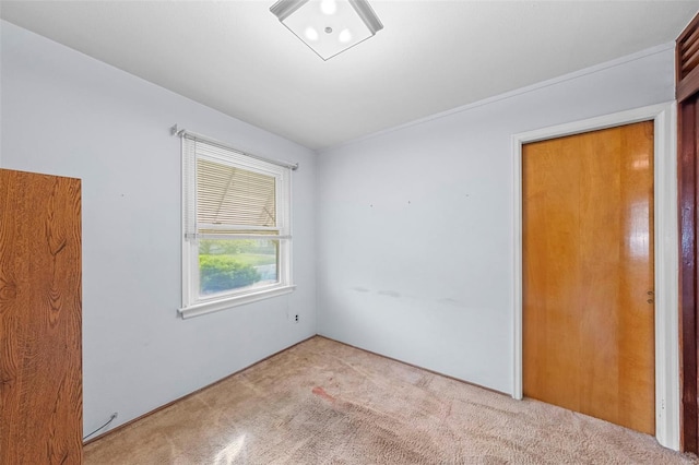 unfurnished bedroom with carpet flooring