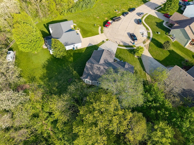 bird's eye view