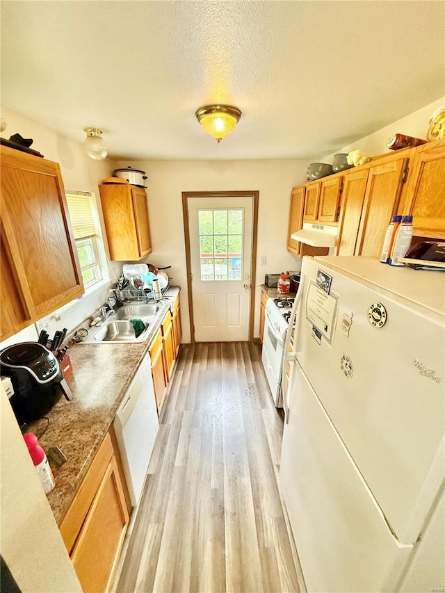 kitchen with white appliances, light wood-style flooring, extractor fan, light countertops, and a sink