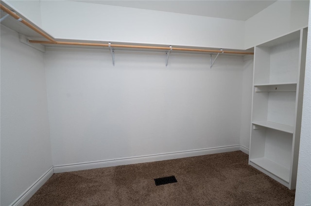 spacious closet with carpet flooring and visible vents