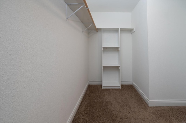 walk in closet featuring carpet flooring