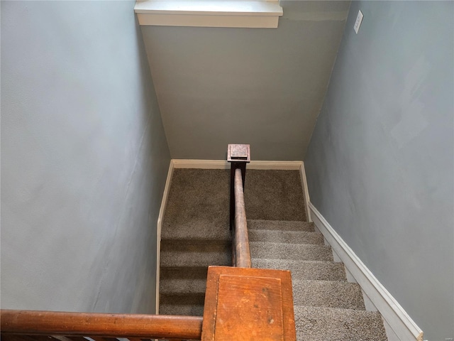 stairway with carpet floors