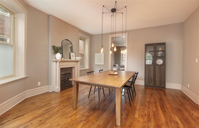 dining space featuring baseboards, plenty of natural light, wood finished floors, and a fireplace