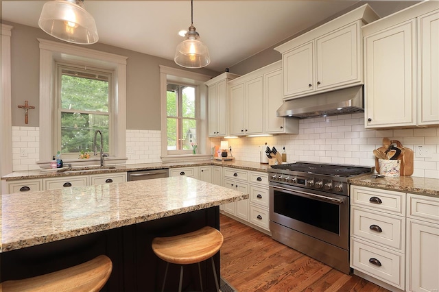 kitchen featuring light stone counters, a sink, stainless steel appliances, backsplash, and under cabinet range hood