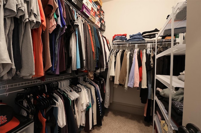 spacious closet featuring carpet floors