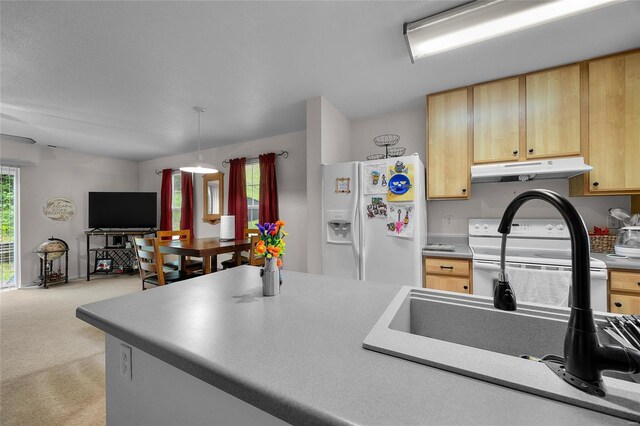 kitchen featuring light brown cabinetry, under cabinet range hood, carpet flooring, white appliances, and open floor plan