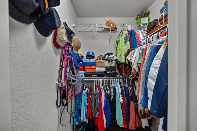 view of walk in closet