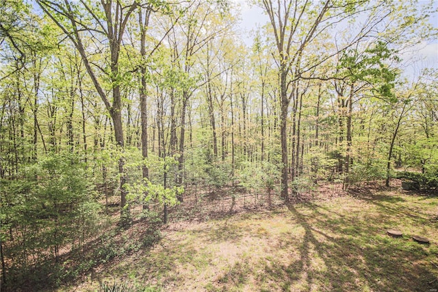 view of nature with a view of trees