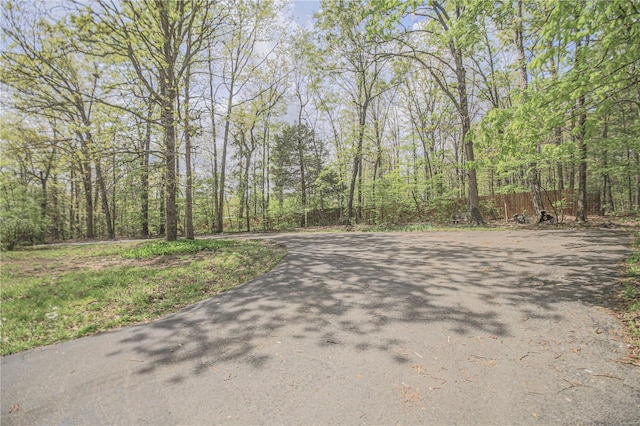 view of street with a view of trees