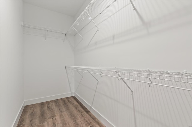 spacious closet featuring wood finished floors