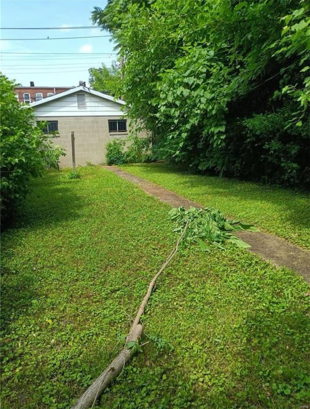 view of yard