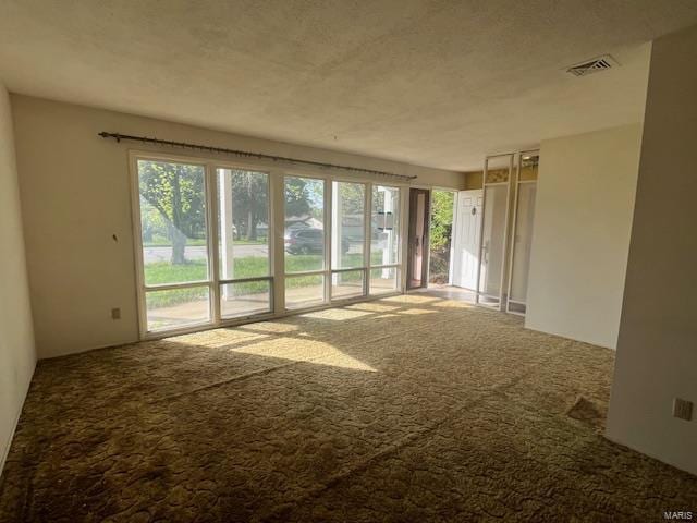 carpeted spare room with visible vents