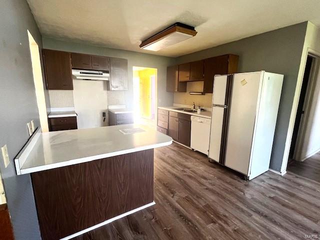 kitchen featuring a sink, dark wood-style flooring, under cabinet range hood, white appliances, and light countertops