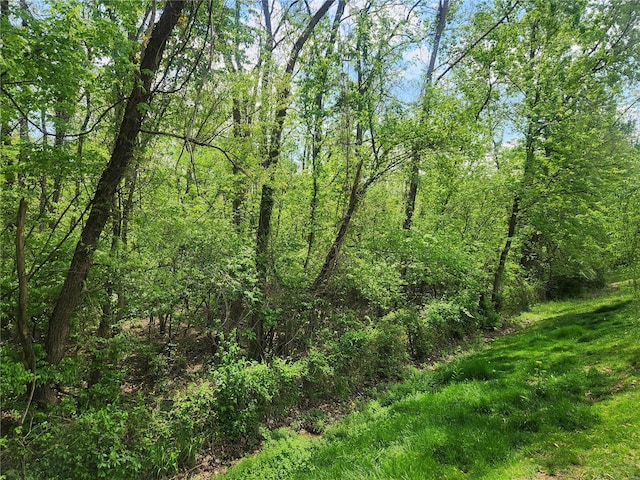view of landscape featuring a wooded view