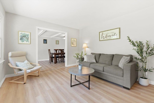 living area featuring baseboards and light wood-style floors