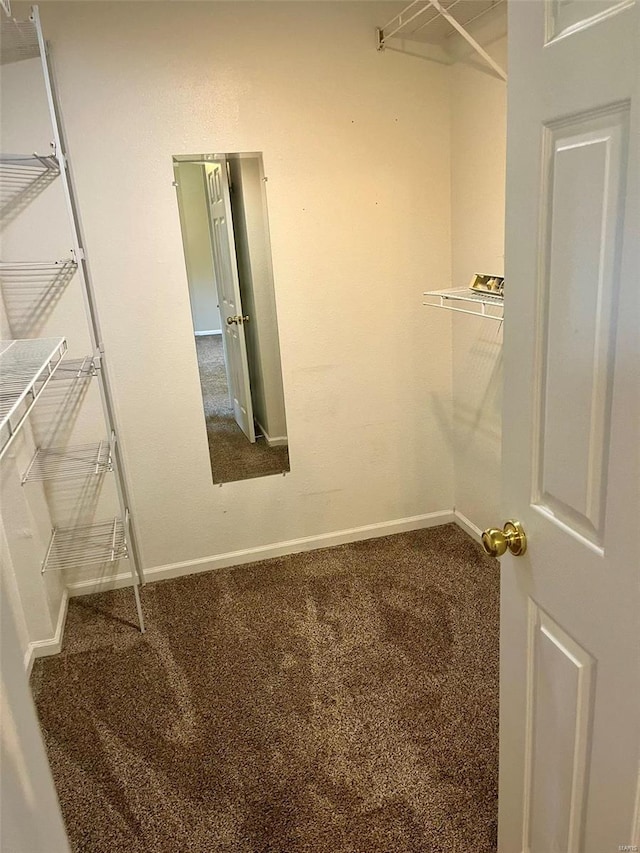 walk in closet featuring carpet flooring