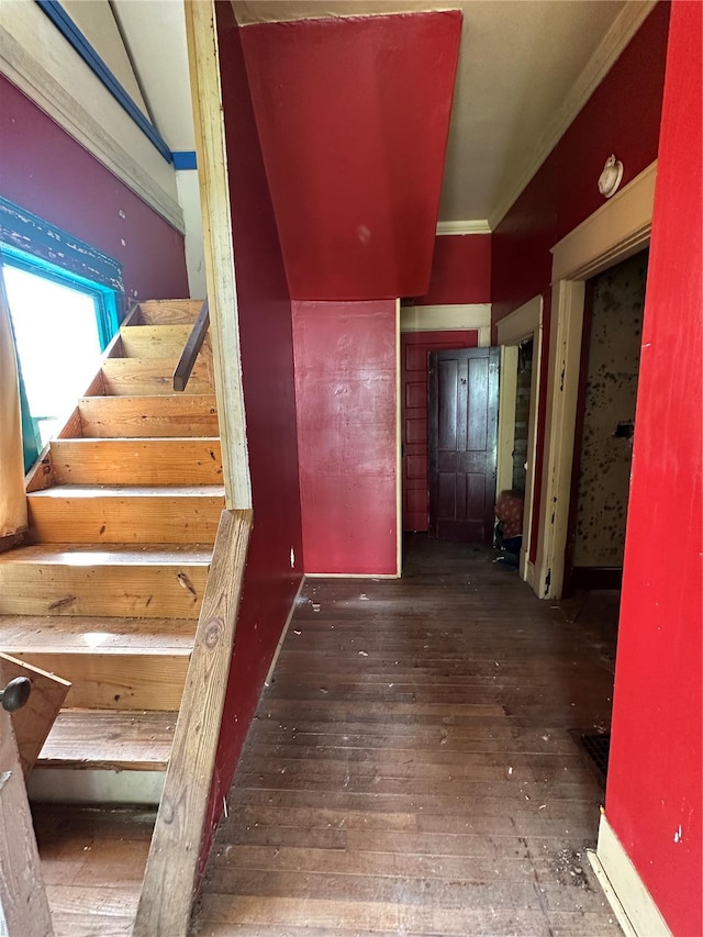 stairway with crown molding and hardwood / wood-style flooring