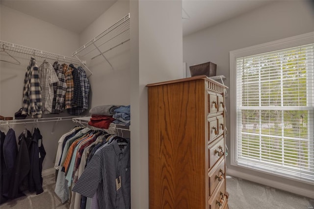 spacious closet with carpet