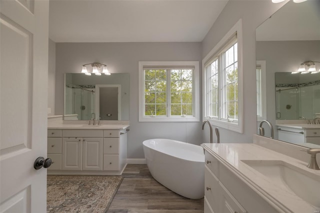 bathroom with a stall shower, a freestanding bath, wood finished floors, and a sink