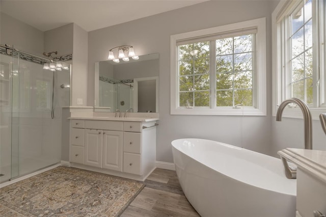 bathroom featuring a shower stall, wood finished floors, a wealth of natural light, and vanity