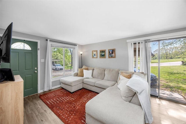 living room with wood finished floors