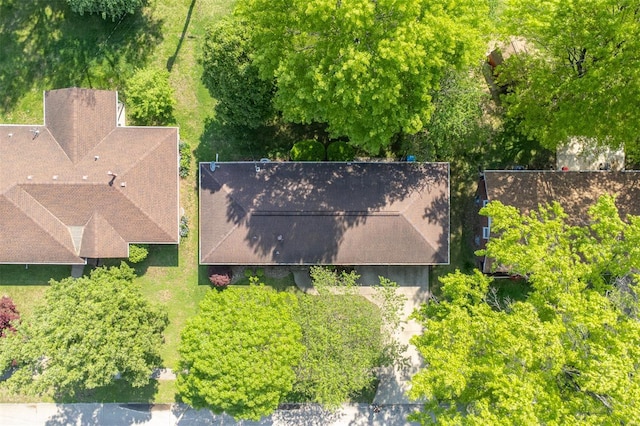 aerial view