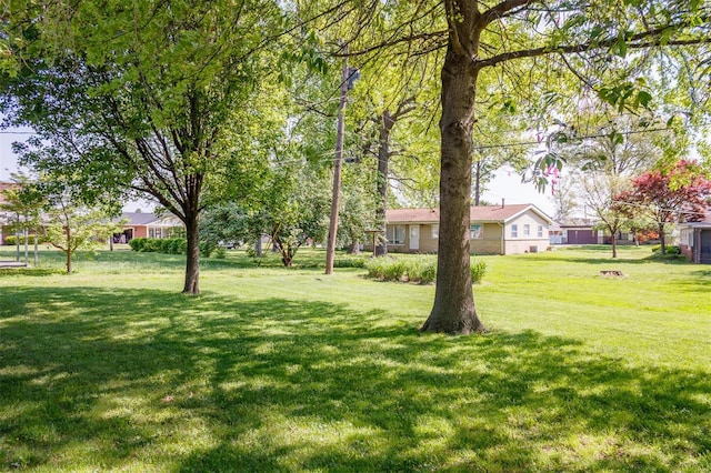 view of yard