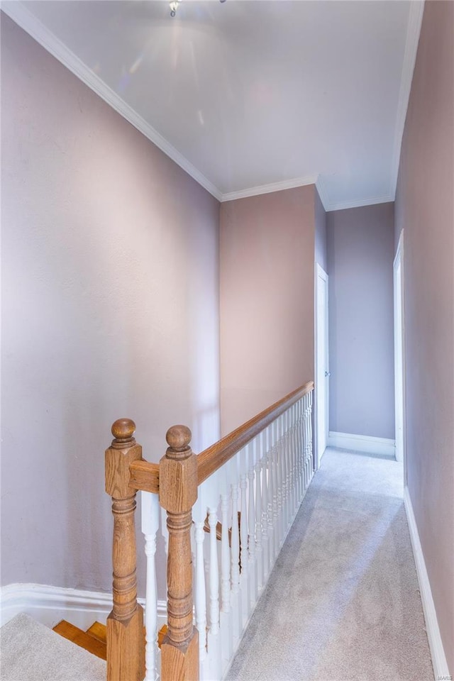 hall featuring baseboards, ornamental molding, and carpet floors