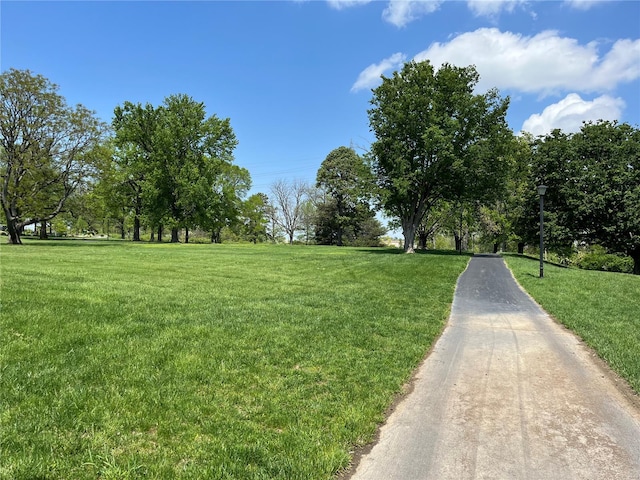 view of property's community featuring a lawn