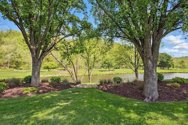 view of yard featuring a water view