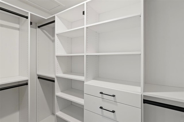 view of walk in closet