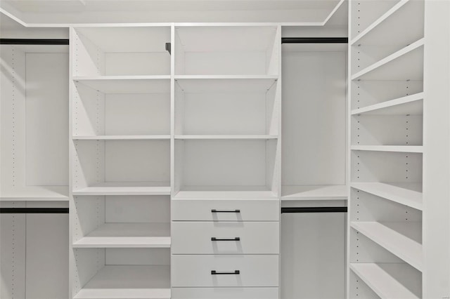 view of walk in closet