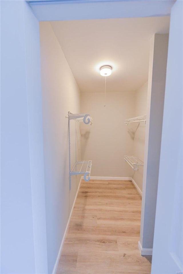 walk in closet featuring light wood-style floors