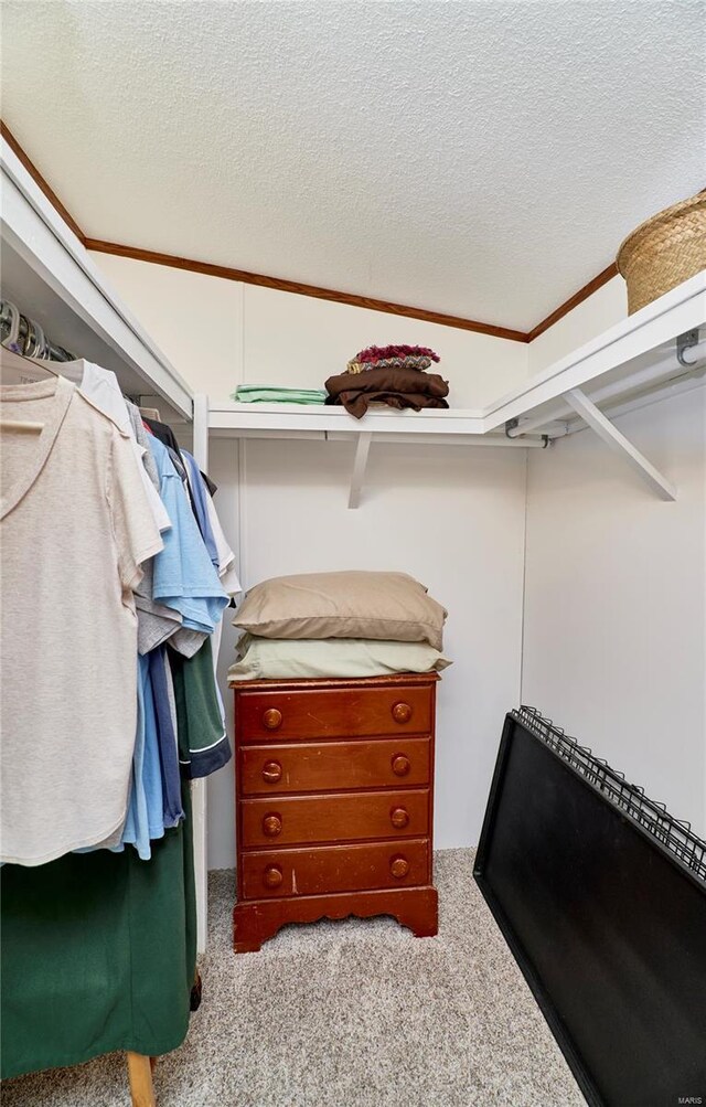 spacious closet with carpet