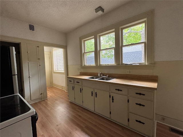 kitchen featuring freestanding refrigerator, visible vents, a wealth of natural light, and a sink