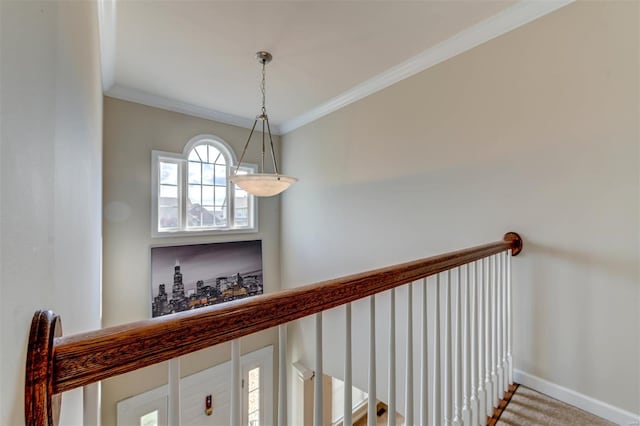 interior space with crown molding, baseboards, and carpet floors