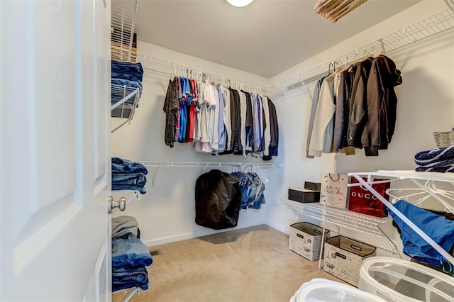 spacious closet featuring carpet floors