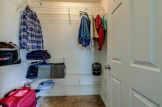 walk in closet with carpet