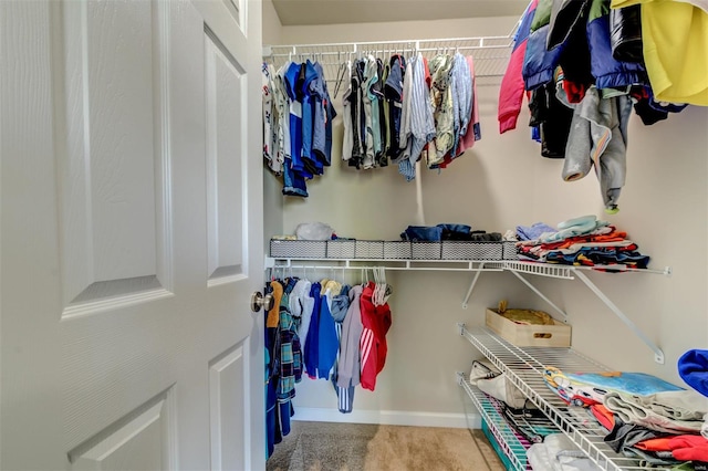 spacious closet featuring carpet floors