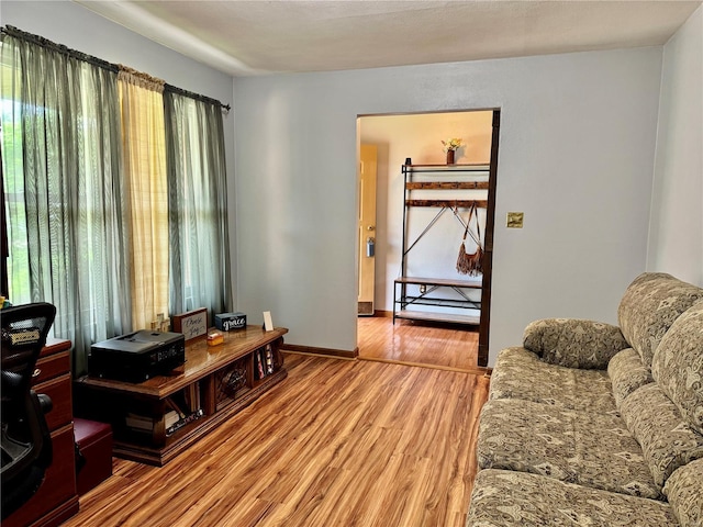 living room with baseboards and light wood-style floors