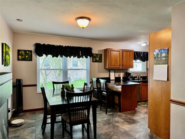 dining room featuring stone finish floor, baseboards, and a wealth of natural light