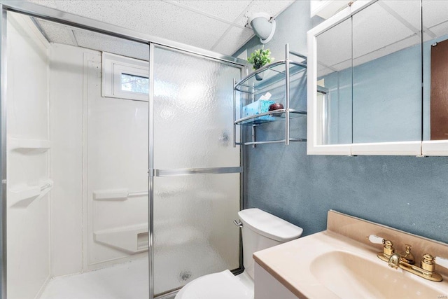 full bathroom with vanity, toilet, and a stall shower