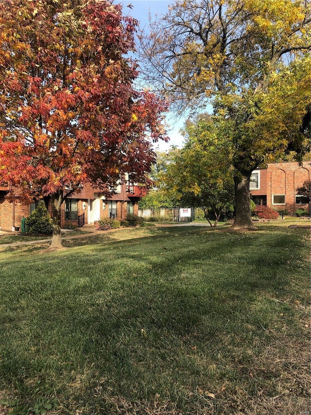 view of yard
