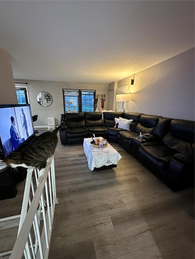 living room with dark wood-style flooring and a healthy amount of sunlight