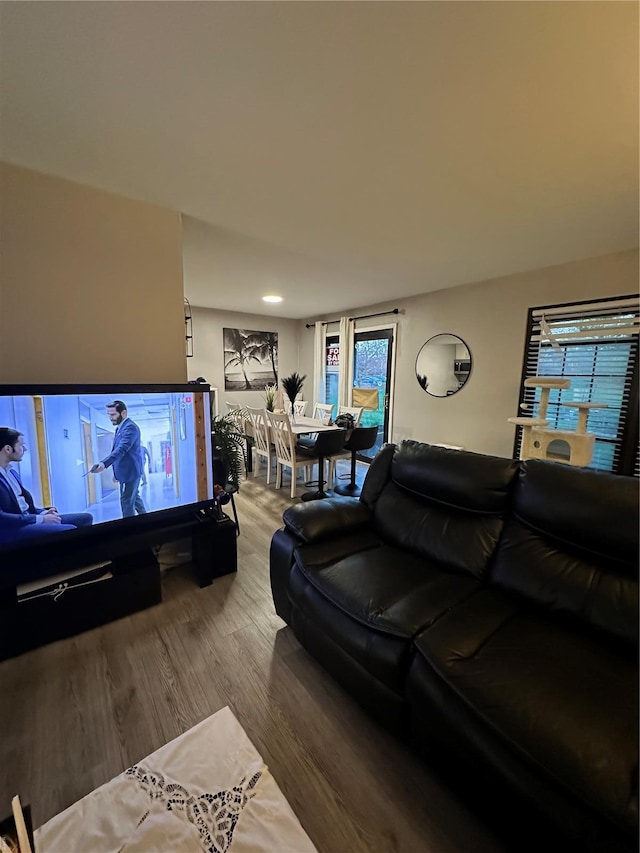 living area featuring wood finished floors