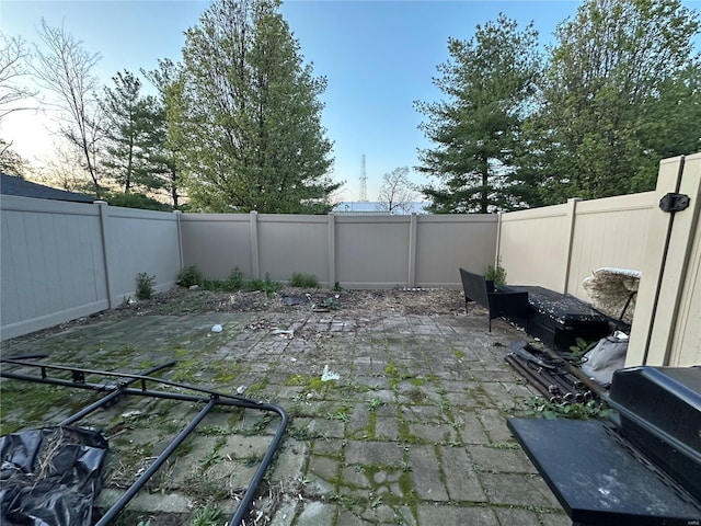 view of yard with a fenced backyard and a patio