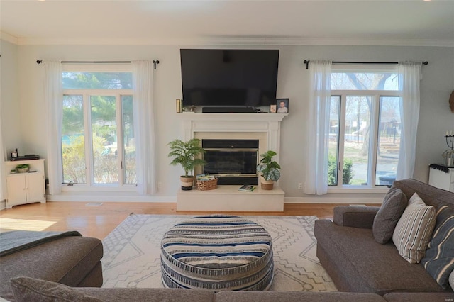 living area with baseboards, ornamental molding, a glass covered fireplace, and wood finished floors