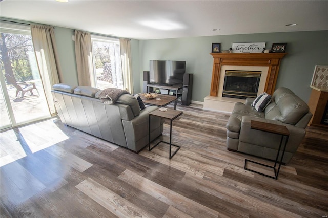 living room with a glass covered fireplace and wood finished floors